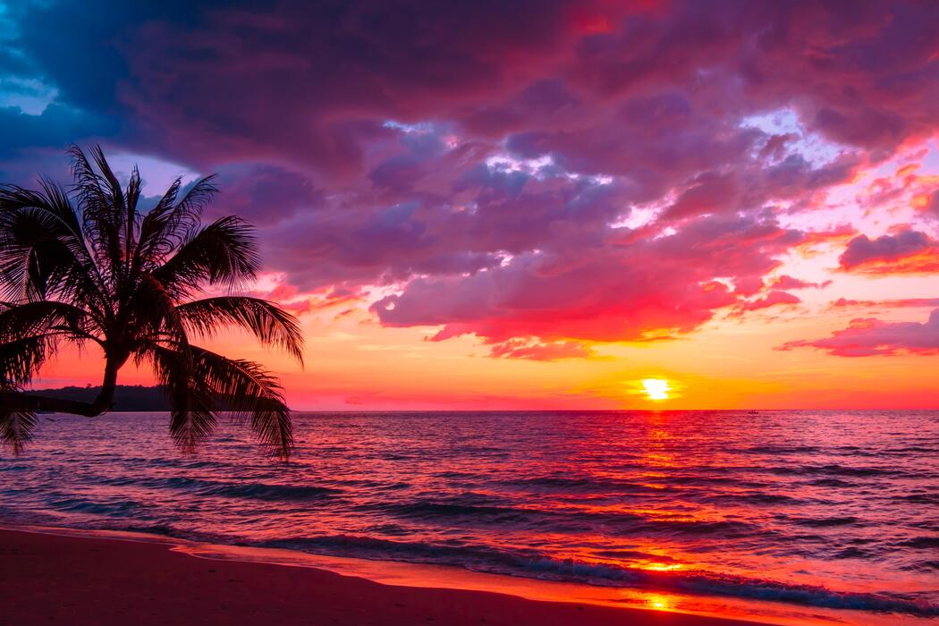 Sydney beach sunset